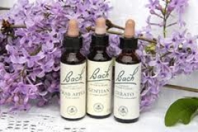 IMPATIENS,ανθοϊαμα Bach20ml